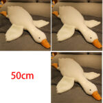 62afe5ad-6163-4179-8f33-3f555b666b86.jpg